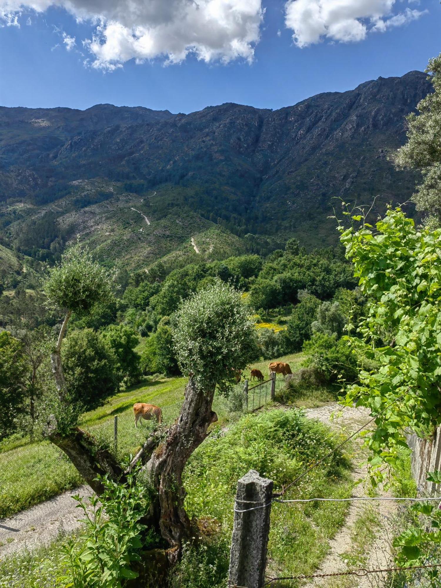 Vale Das 7Lagoas Gerês Extérieur photo